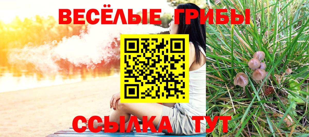 Учалы  Галлюциногенные грибы Magic Shrooms  Вход с VPN  Галлюциногенные грибы Psilocybine cubensis 